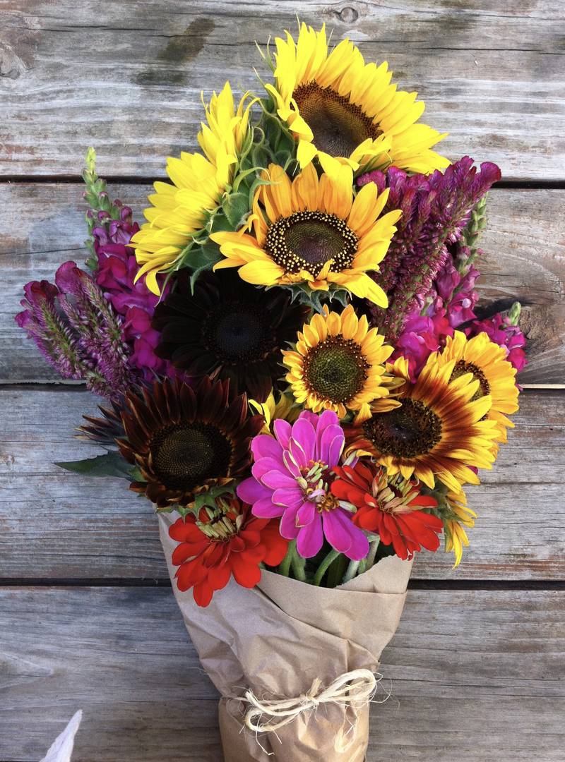 The Flower Farm