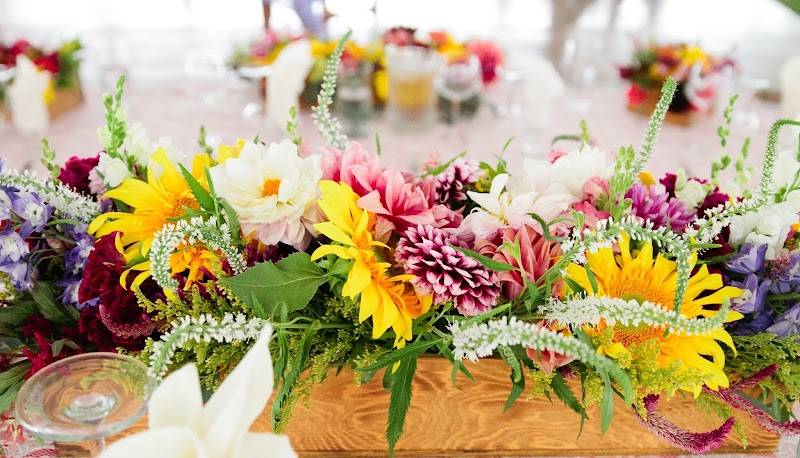 The Flower Farm