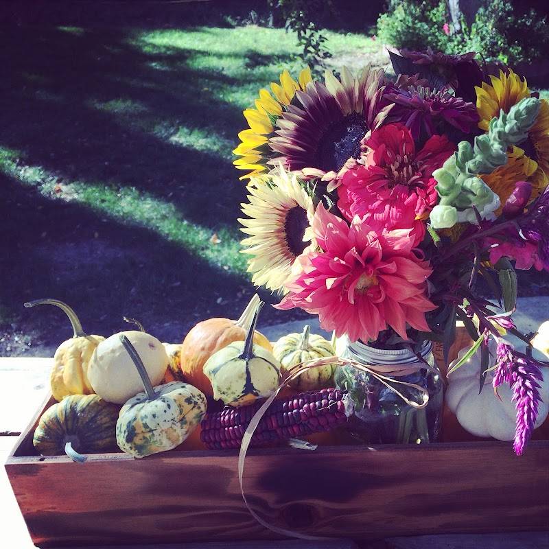 The Flower Farm