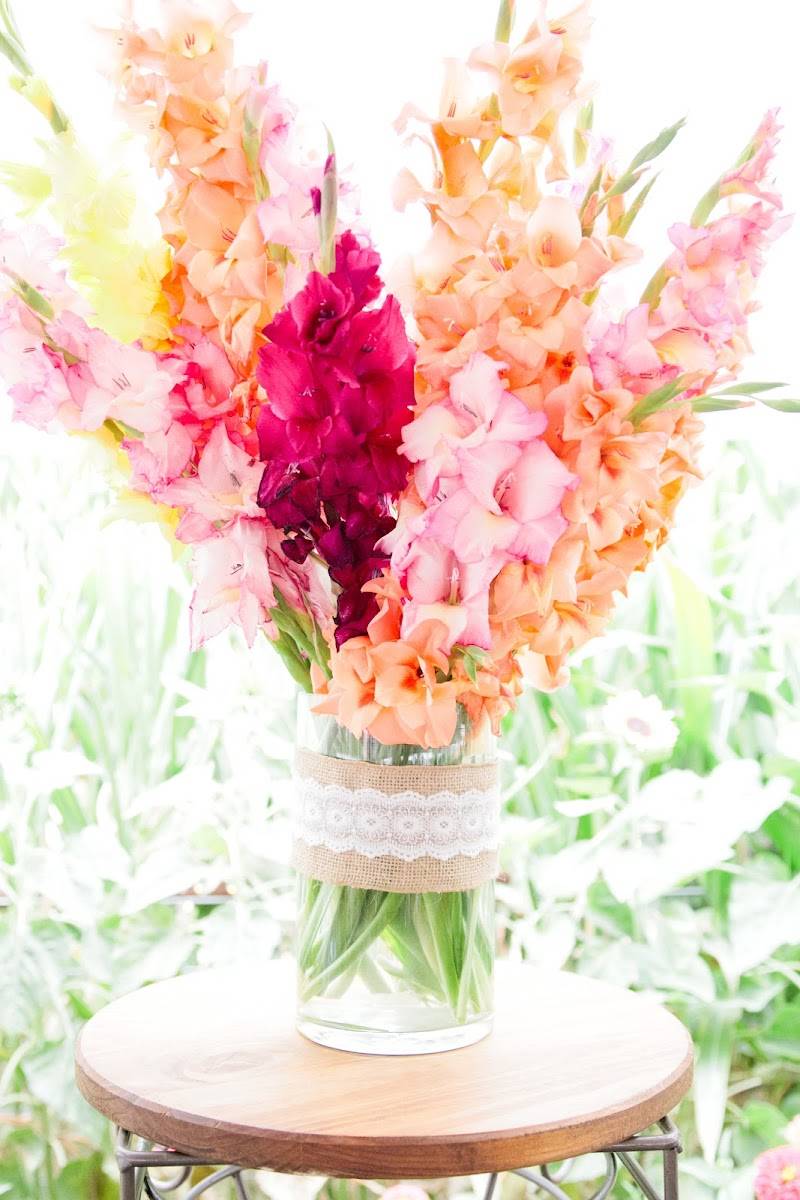 The Flower Farm