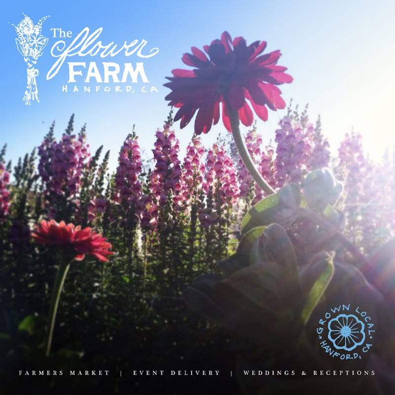 The Flower Farm