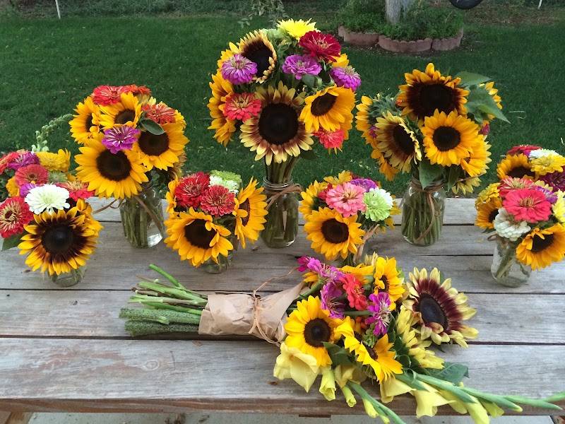 The Flower Farm
